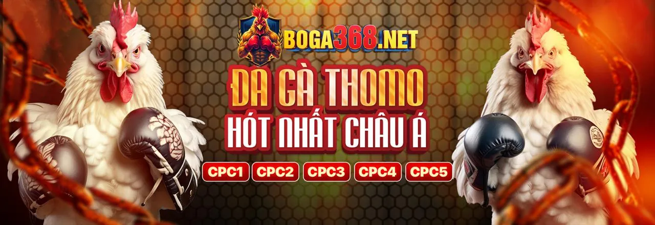 Sân đấu đá gà kịch tính tại biz88